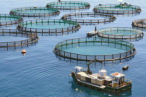 استفاده از توانمندی شرکت‌های داخلی در تولید قفس‌های پرورش ماهی