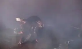 ۱۱ راس گاو طعمه حریق شد