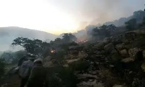 آتش سوزی ارتفاعات جنگلی روستای باندر علیا در اسلام آبادغرب/ مهار حریق با کمک نیروهای مردمی + تصاویر