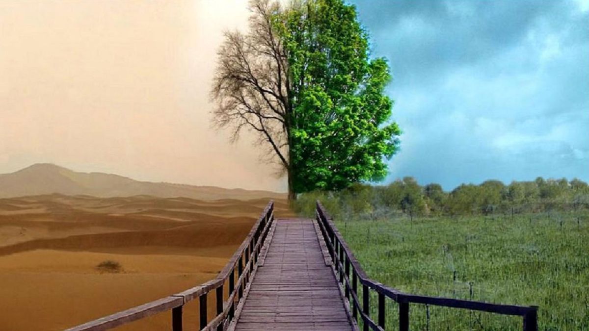 تبدیل بیابان به زمین حاصلخیز با فناوری نانو