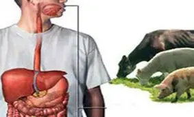 یک مورد فوتی بر اثر تب "کریمه‌ کنگو" در کرمانشاه داشتیم
