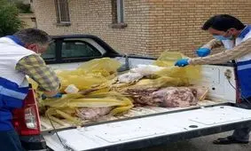معدوم سازی بیش از ۱۳٠٠ کیلوگرم گوشت در ماکو