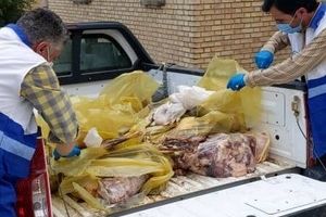 معدوم سازی بیش از ۱۳٠٠ کیلوگرم گوشت در ماکو