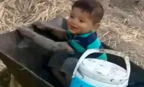 ناپدید شدن پسربچه 3 ساله در جنگل گالکیش