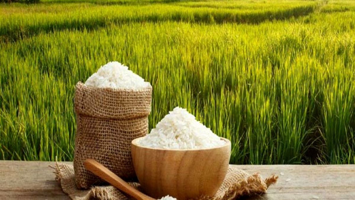 قیمت برنج به انفجار می‌رسد؟