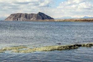 کاهش ۴۰ درصدی مصرف آب، هدیه کشاورزان به دریاچه ارومیه