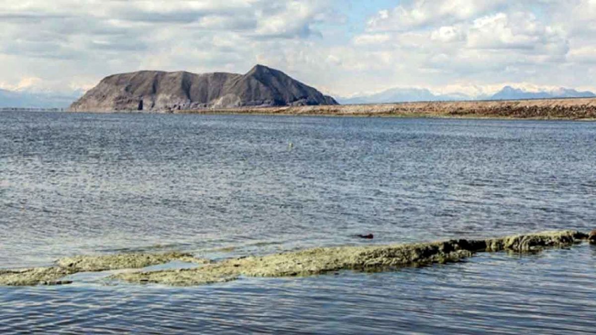 کاهش ۴۰ درصدی مصرف آب، هدیه کشاورزان به دریاچه ارومیه