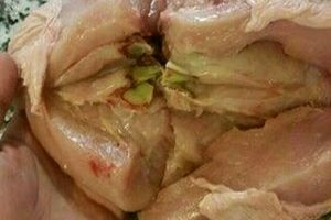 واکنش دامپزشکی کهگیلویه و بویراحمد به تغییر رنگ برخی از مرغ های کُشتار روز