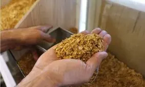 کشف 4 تن توتون و تنباکوی قاچاق در دروازه شمیران