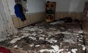 رامیان روی نوار زلزله/ سومین زمین لرزه در یک روز