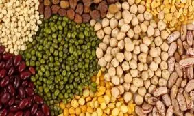 افزایش قیمت حبوبات ناشی از گرانفروشی است