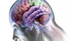 تست روانشناسی/ کدام یک از حواس شما قوی تر است؟