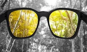 کوررنگی چیست؟/ وقتی رنگ ها ناپدید می‌شوند/ ویدئو