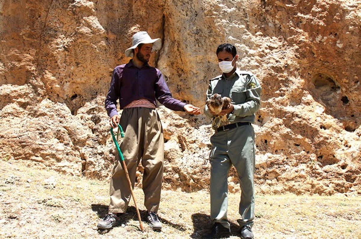 امنیت حیات وحش بوشهر در پناه محیطبانان کم شمار