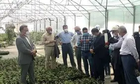 طرح‌‎ احیای دریاچه ارومیه به رشد حدود ۱۰۰ درصدی تولید کشاورزی منجر شده است