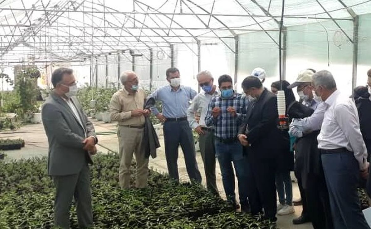 طرح احیای دریاچه ارومیه به رشد حدود ۱۰۰ درصدی تولید کشاورزی منجر شده است