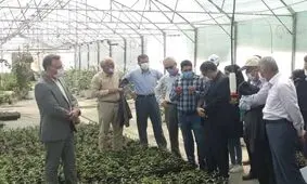 طرح‌‎ احیای دریاچه ارومیه به رشد حدود ۱۰۰ درصدی تولید کشاورزی منجر شده است