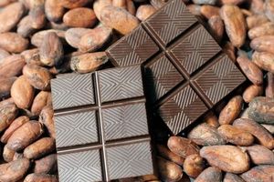 شکلات از کجا آمد و چرا برای سلامتی مفید است؟ 