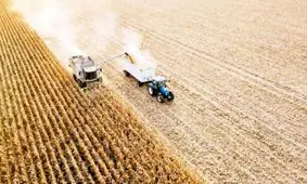 ماجرای تهاتر نفت و غلات چه بود؟ رونمایی از پیشنهاد سامورایی بعد از ۱۵ ماه