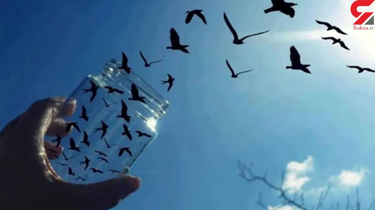 سرنوشت عجیب محکوم به قتل در کرج / او دوستش را سوزانده بود