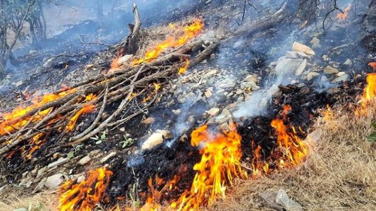 آتش سوزی ۲۰۰۰ هکتار جنگلی در لرستان/ خسارت ۳۶۷ میلیارد تومانی به اراضی