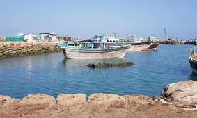 ۲ هزار تن از آبزیان چابهار امسال به چهار کشور صادر شد