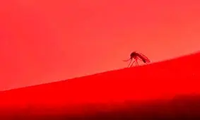 ویروس‌هایی که ترکیب آنها به بروز سکته منجر می‌شود