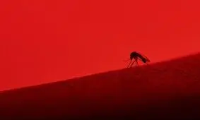 ویروس‌هایی که ترکیب آنها به بروز سکته منجر می‌شود