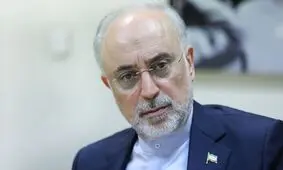آژانس درخواست دیگری برای بازرسی از ایران ندارد
