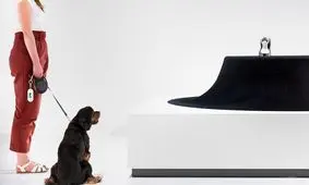 هنر معماری در خدمت حیوانات؛ طراحی خانه‌هایی متفاوت برای سگ‌ها