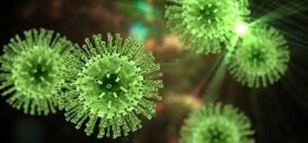 تایید پروتکل تحقیق روی نوعی داروی گیاهی با خاصیت ضد کرونایی