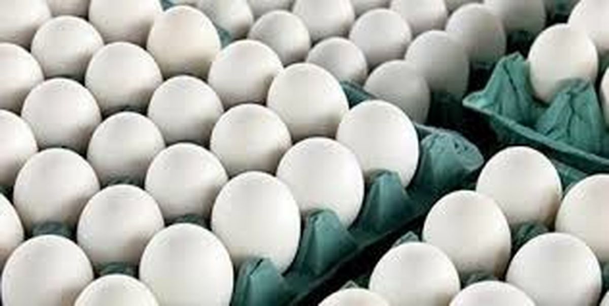 قحطی نهادههای دامی در آذربایجان غربی/ کشاورزان، اسیرِ دست دلالان/انباشت سیب صنعتی کنار جاده های استان