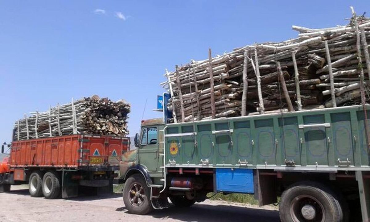 افزایش کشفیات قاچاق چوب در زنجان