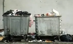 ماجرای جسد سلاخی شده در گاریِ زباله