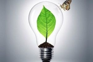 هند اولین کشور در به کار گیری انرژی سبز در بنادر است