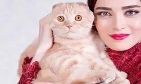 بهنوش طباطبایی و گربه‌اش توقیف شدند/ پایان اجباری بانو با گربه ملوس