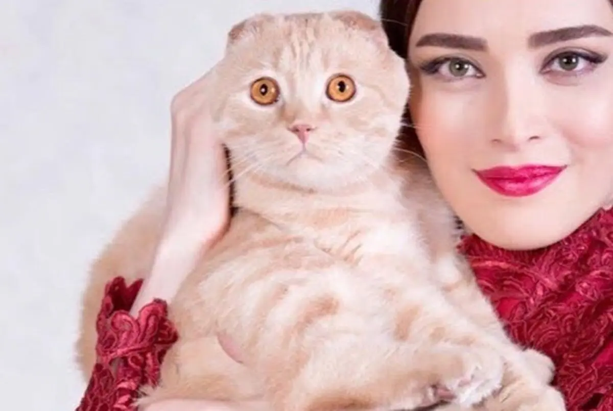 بهنوش طباطبایی و گربه‌اش توقیف شدند/ پایان اجباری بانو با گربه ملوس