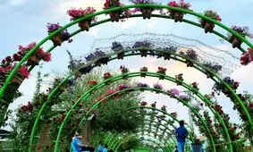 ۴۰درصد از فضای سبز ارومیه به شیوه نوین آبیاری می شود