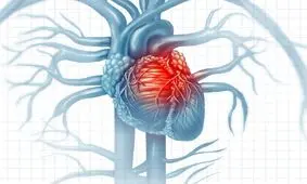 تخریب وحشتناک عضلات قلب بوسیله ویروس کرونا