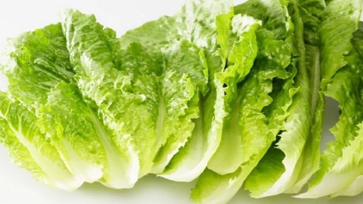 سبزی خواب آور با انواع ویتامین