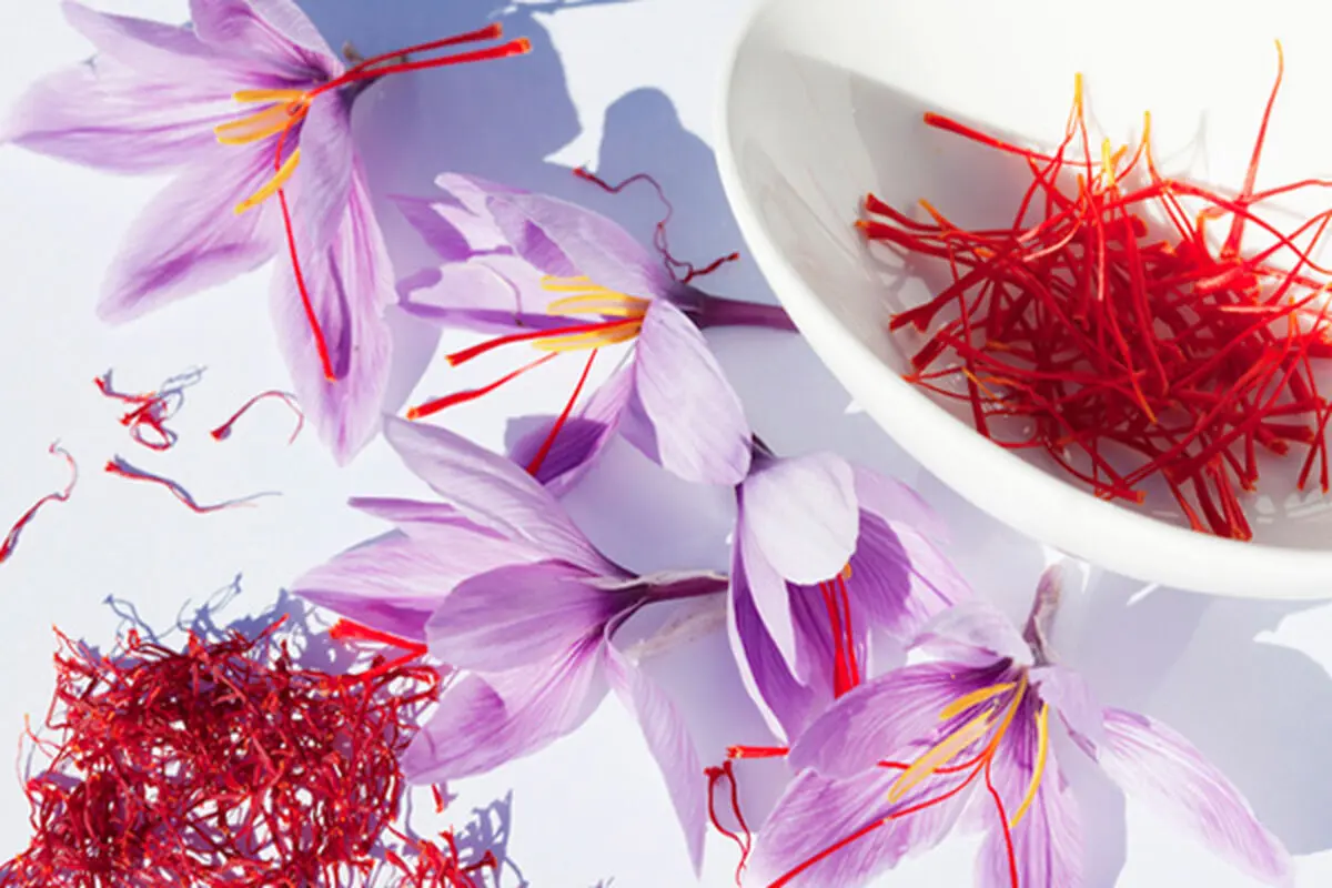بهترین دسته گل خوراکی جهان را مُفت می‌خرند