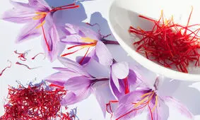 بهترین دسته گل خوراکی جهان را مُفت می‌خرند