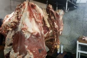 کشف 3 تن گوشت غیر بهداشتی در یک کبابی