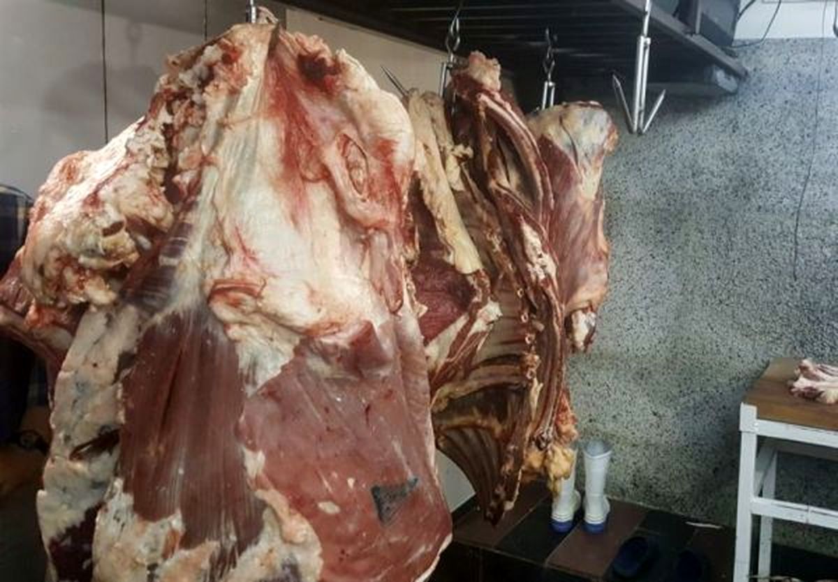 کشف 3 تن گوشت غیر بهداشتی در یک کبابی