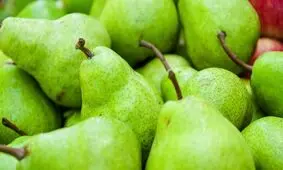 واردات قاچاق گلابی از آمریکا و چین!