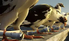 کبوترهای قدیمی چطور نامه رسانی می‌کردند؟