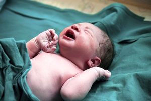 میزان ولادت تهران امسال ۶.۹ درصد کاهش یافت
