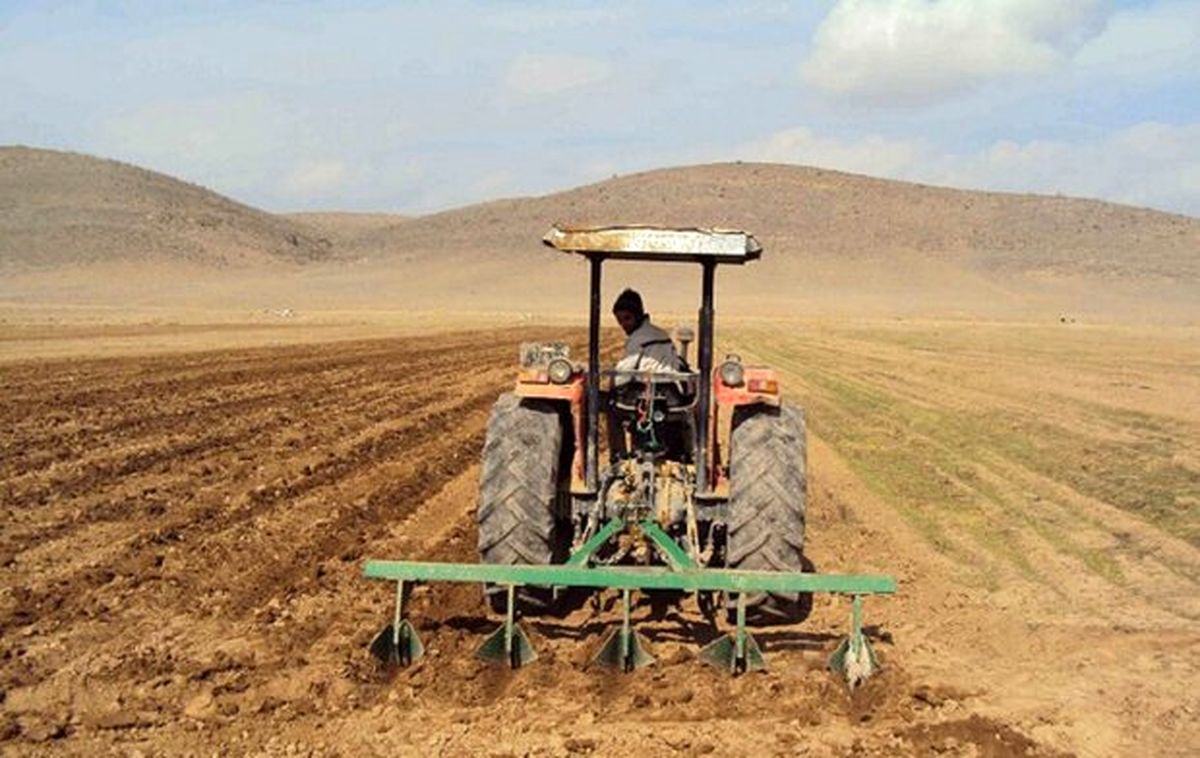 رتبه اول مازندران در ضریب کشت کشاورزی