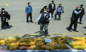 کشف بیش از ۱۴۵۰۰ کیلوگرم موادمخدر در پایتخت/ دستگیری ۳۲۷ قاچاقچی