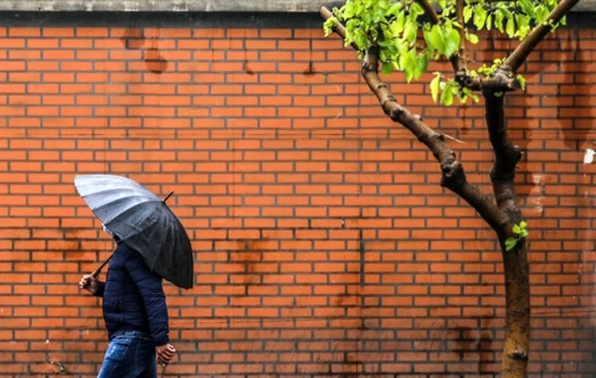 این استان‌ها بارانی خواهند شد